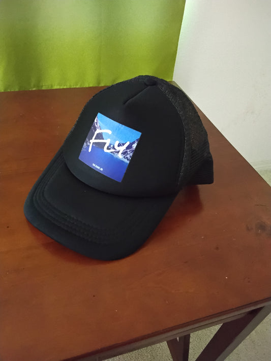 Beautiful Fly song hat, New, adjustable size