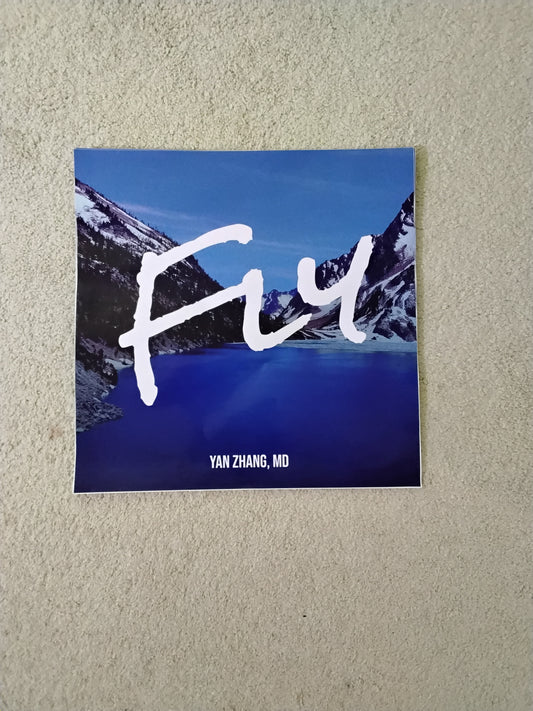 18 inch by 18 inch clear car sticker for fly song, new